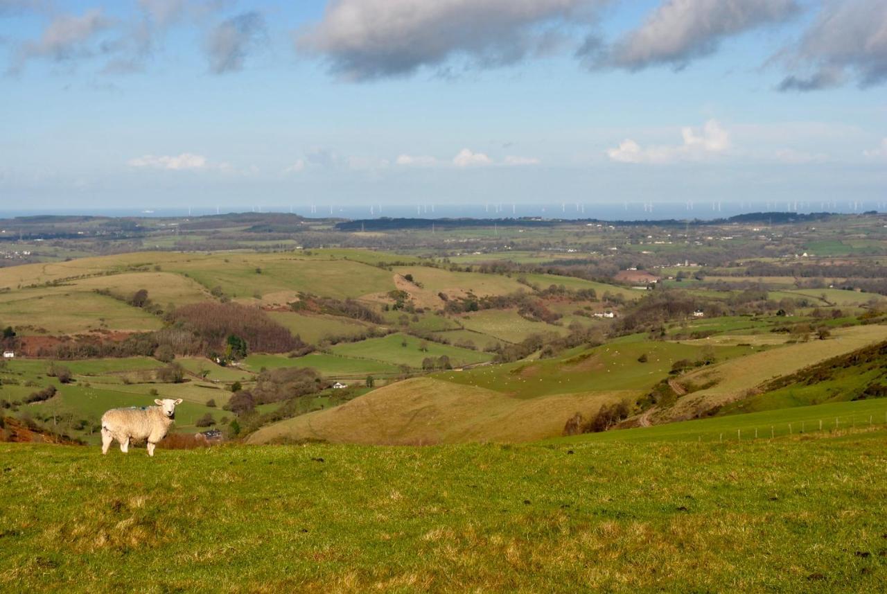 Penbedw Uchaf Estate - Rural Retreats, Tennis Mold Luaran gambar