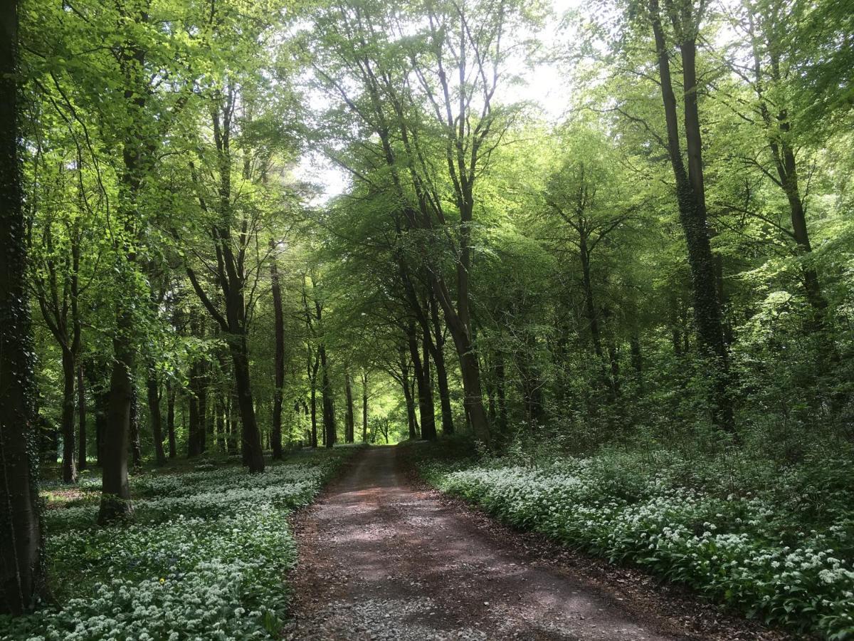 Penbedw Uchaf Estate - Rural Retreats, Tennis Mold Luaran gambar