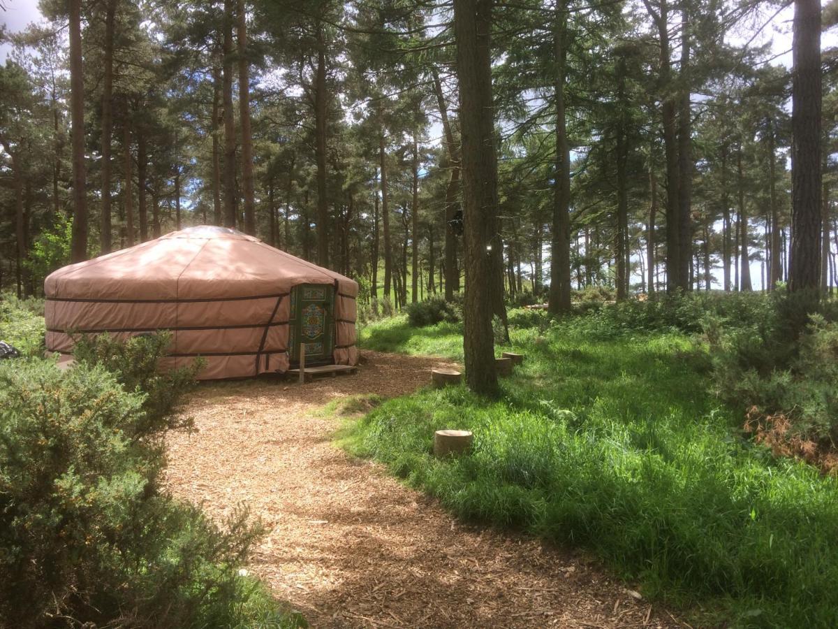 Penbedw Uchaf Estate - Rural Retreats, Tennis Mold Luaran gambar