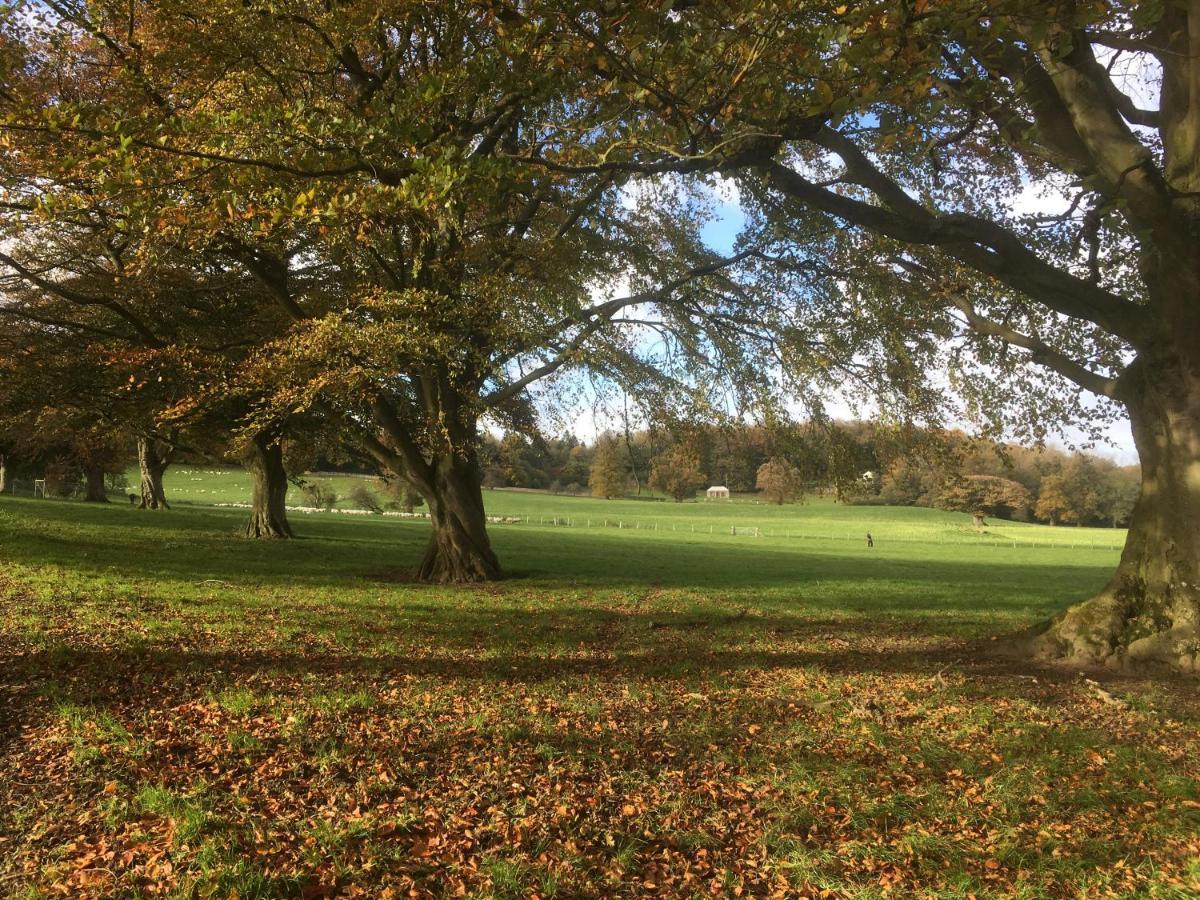 Penbedw Uchaf Estate - Rural Retreats, Tennis Mold Luaran gambar